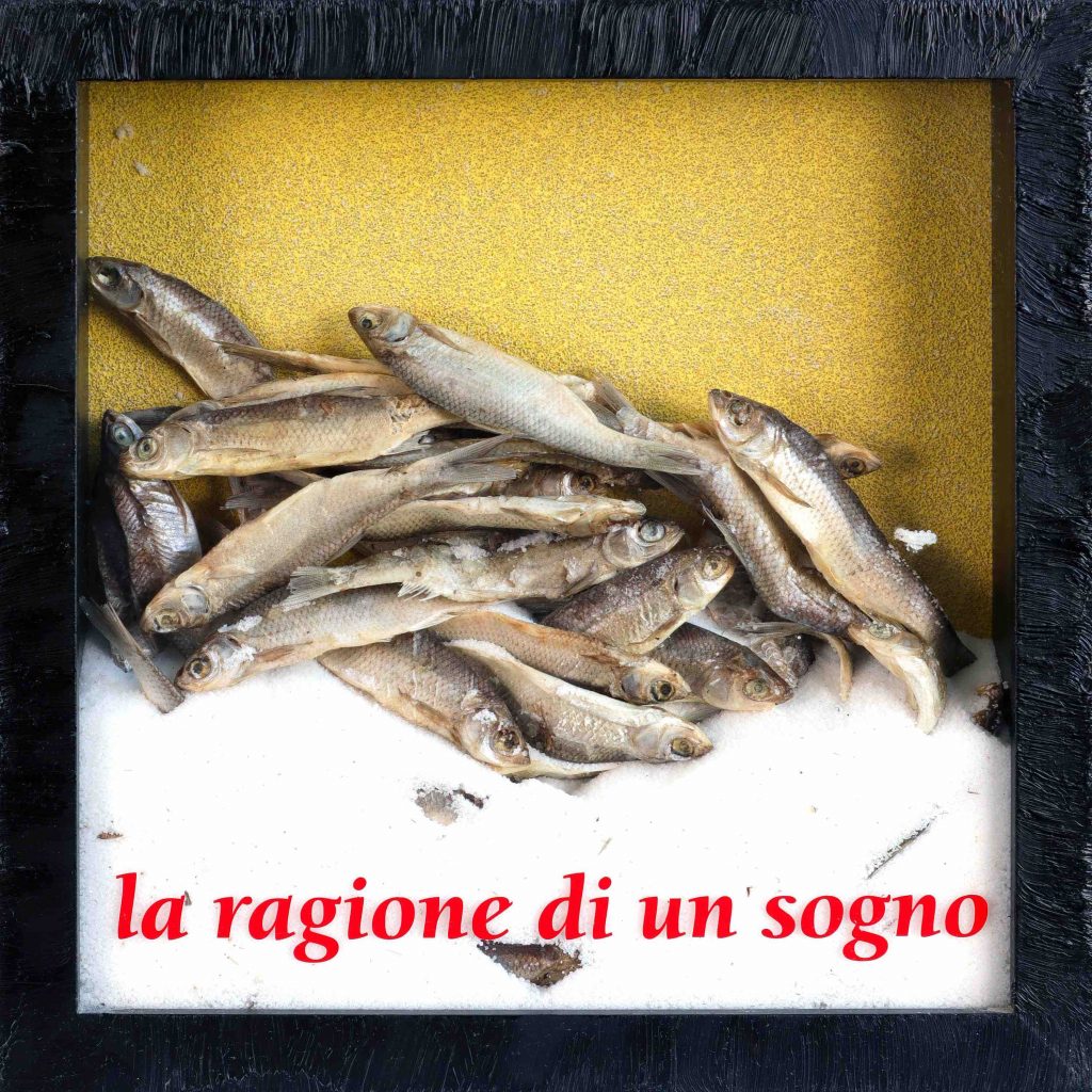 La ragione di un sogno