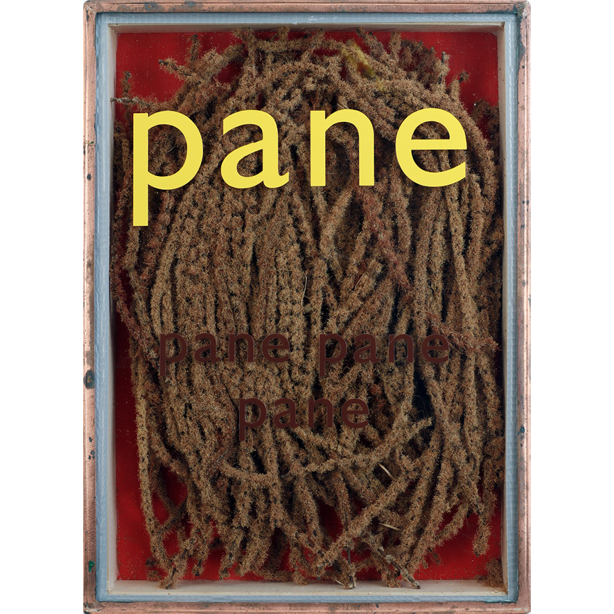 Pane